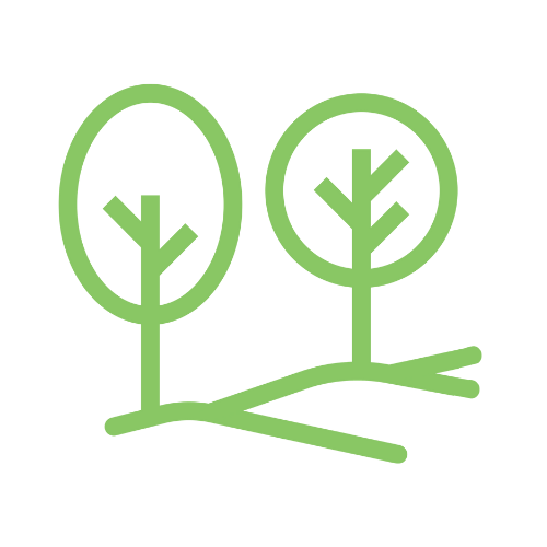pictogramme arbre